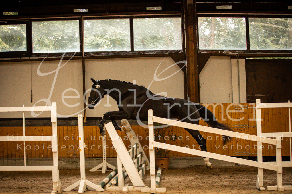 2FS_L00044 | Leoni Ertmer Photography - Realisiert mit Pictrs.com