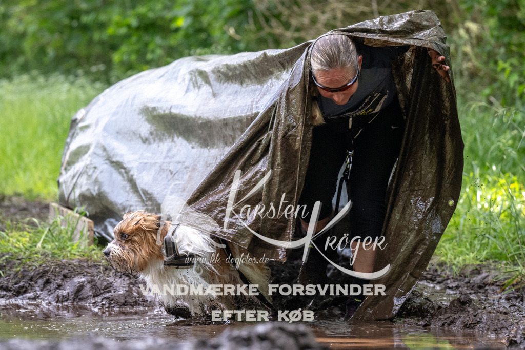 1254_ZZ94121 | kk-dogfotos