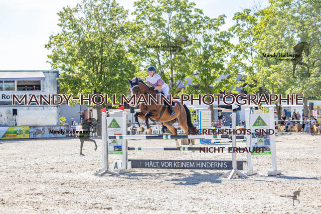 26-7-24 Amateur L-104 | mandyhollmannphotographie