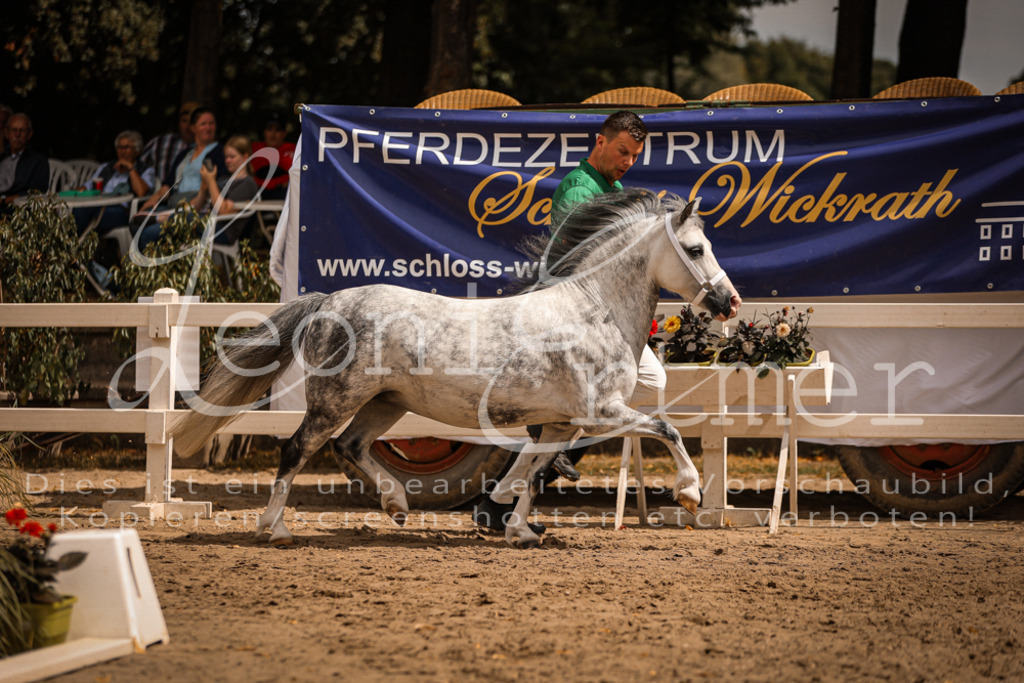 04.So00045 | Leoni Ertmer Photography - Realisiert mit Pictrs.com