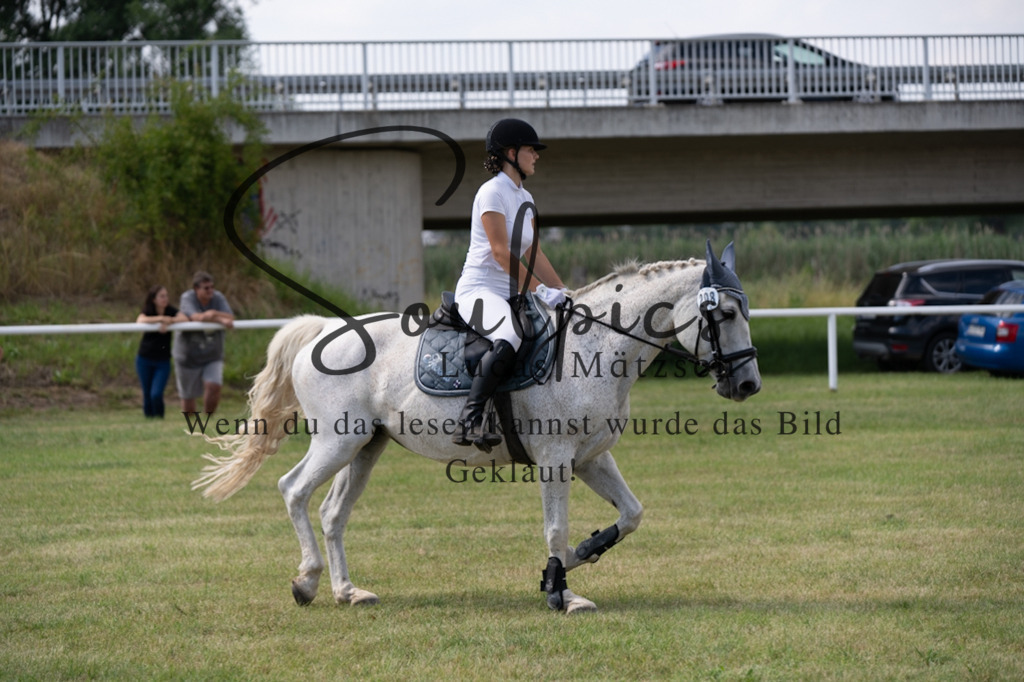 A7V00481 | Turnier/Reitfotograf