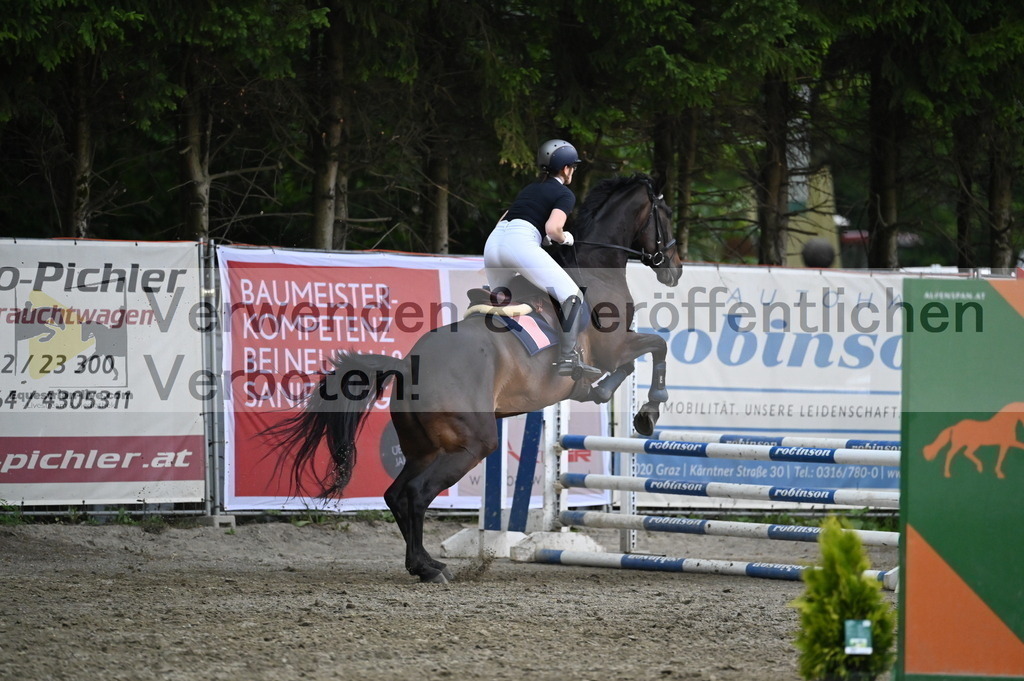DSC_4754 | equestrian-live-com