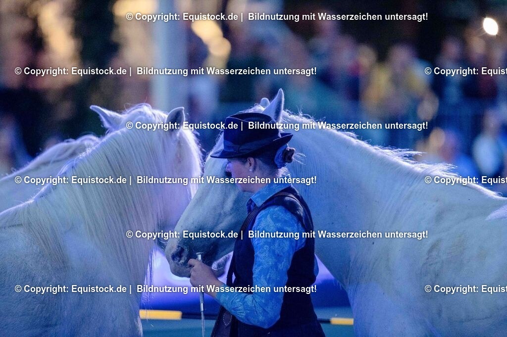 20250606_Lange-Pferdenacht_1073 | Foto: Thomas Hartig