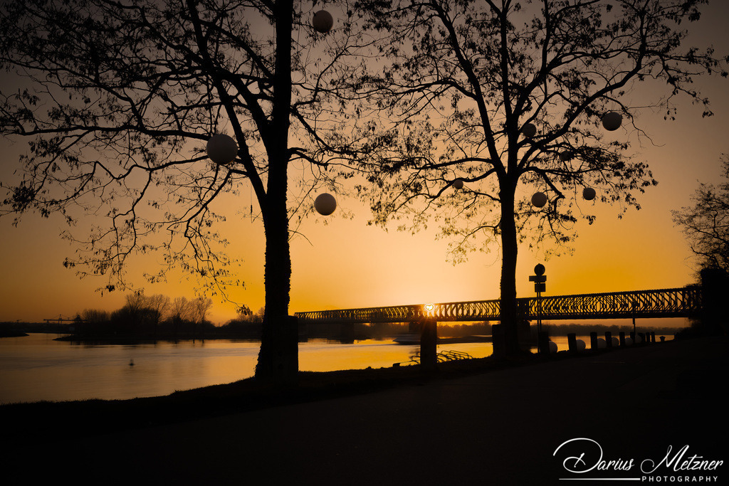Sonnenaufgang am Winterhafen in Mainz | Sonnenaufgang am Winterhafen in Mainz