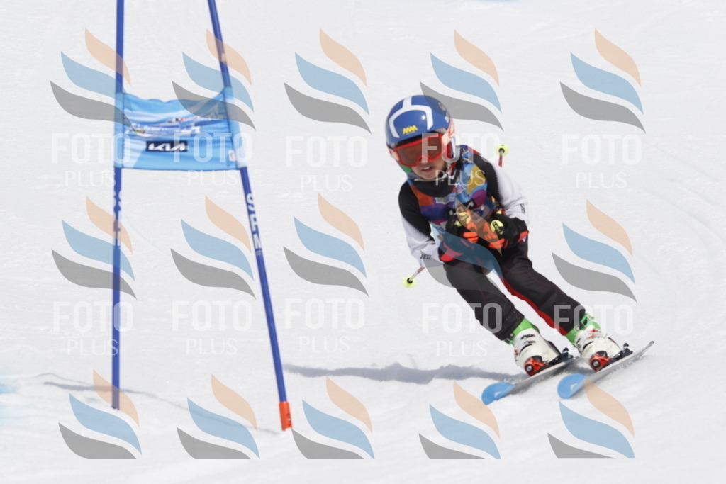 _U3G2431 | holidayphoto