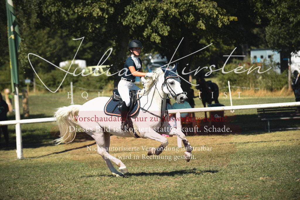 DSC_7264 | Pferde- und Turnierfotografie in Westsachsen. Pferdeportraits, Auftragszeichnungen und intuitive Kunst.