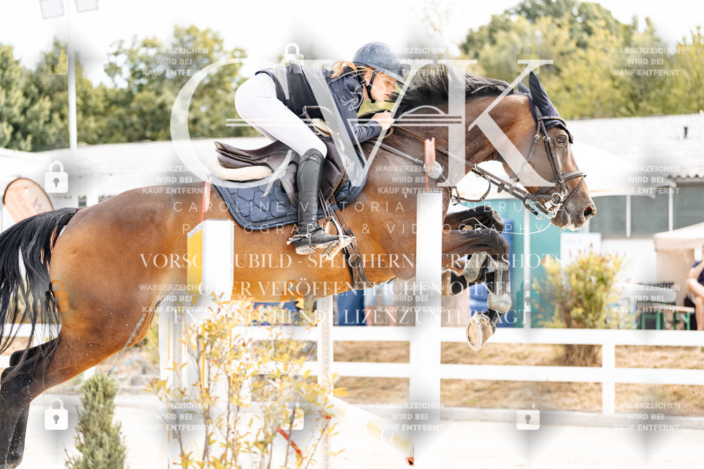 CK901921 | Turnierfotografie Pferdefotografie Trier Rheinland-Pfalz Pferdesport Reitsport Tierfotografie Sportfotografie Pferdevideo Pferdevideografie Equestrianvideography equestrianphotography  - Realisiert mit Pictrs.com