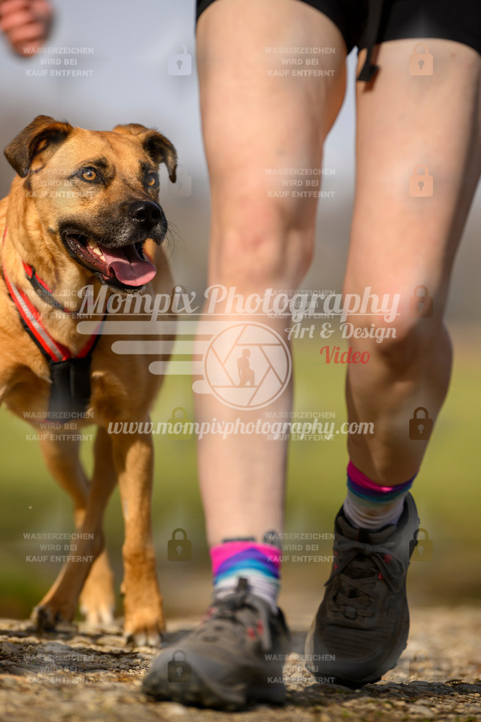MompixPhotography_6ReiatRennen2026_SA_HappyDog-92 | PayLife