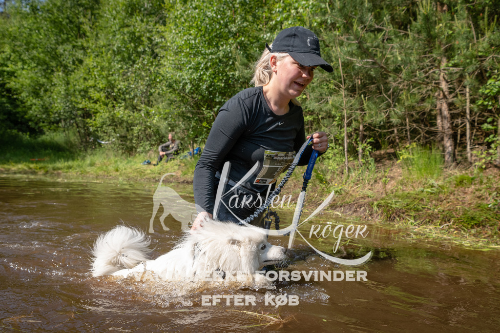 1629DKK990743 | kk-dogfotos