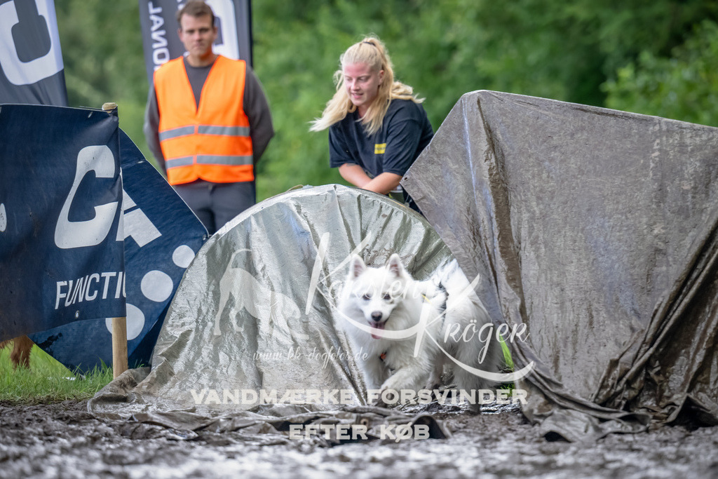 1157_ZZ90490-Bearbeitet | kk-dogfotos