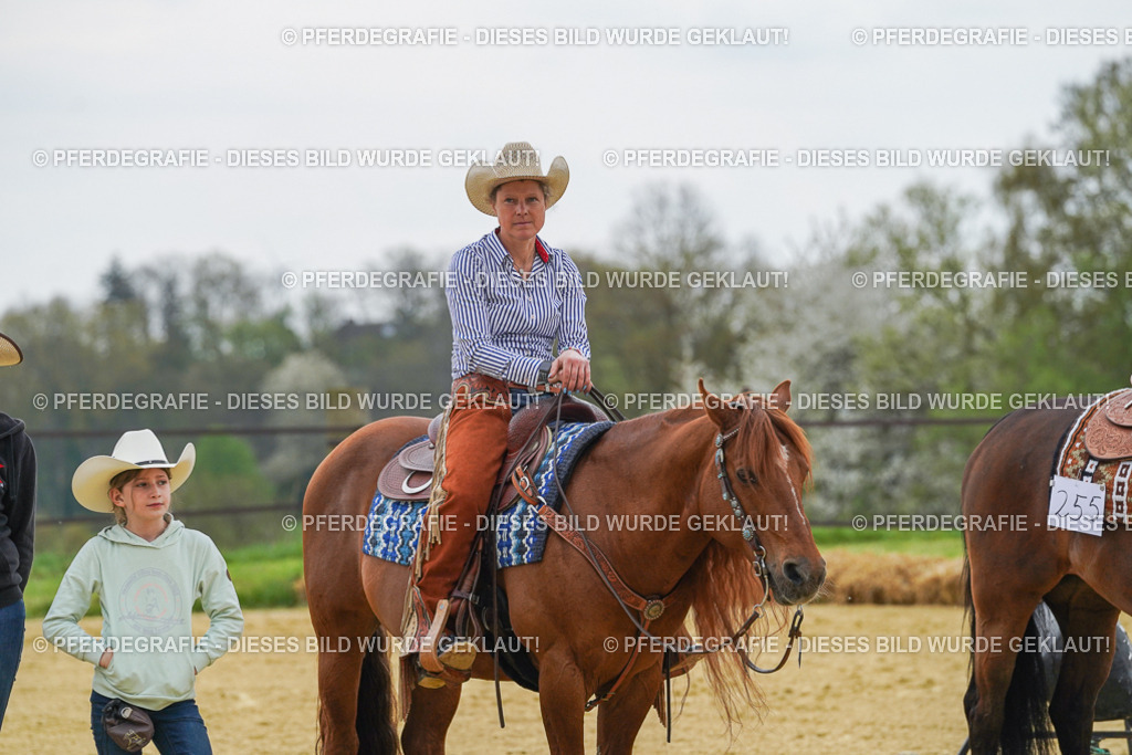 DSC07847 | Pferdegrafie