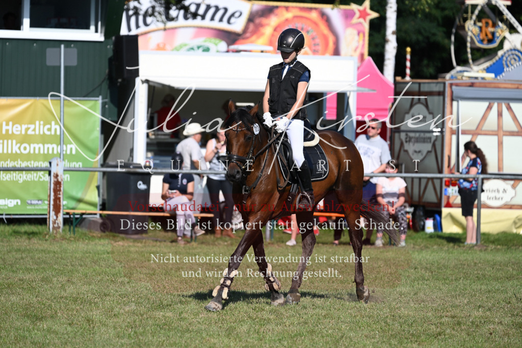 DSC_5214 | Pferde- und Turnierfotografie in Westsachsen. Pferdeportraits, Auftragszeichnungen und intuitive Kunst.