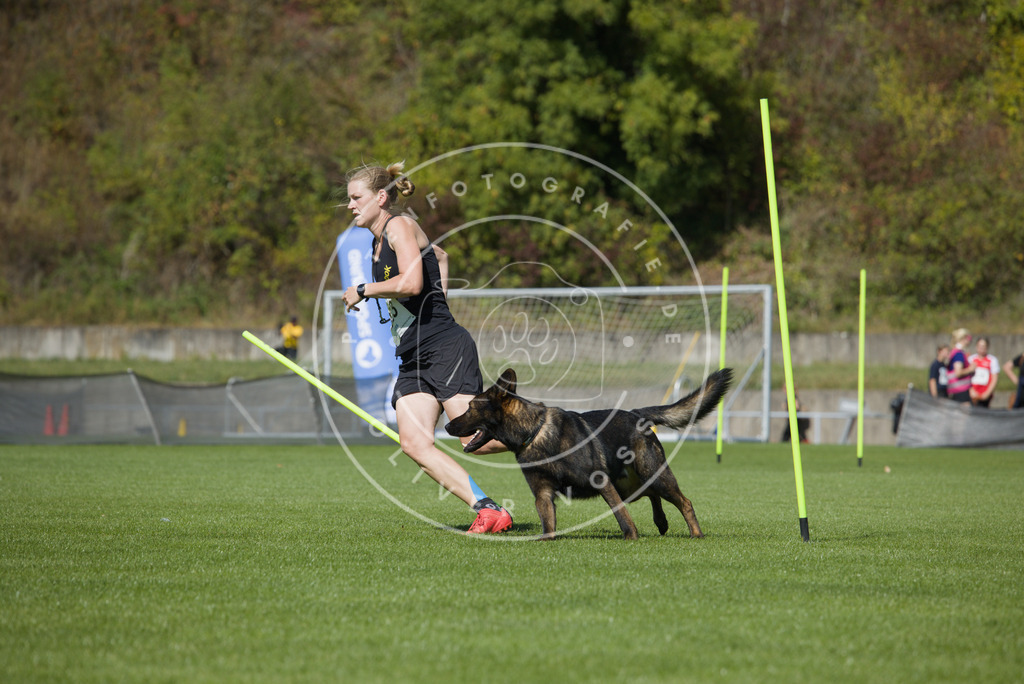 0L8A5983 | Hundefotografie, Tierfotograf, Pfotenfotografie, Fotoshooting Hund, Hunde Portrait, Hundesport, Hundeportraits, Heideshooting, Hunde, Sportfotograf, Hundefotograf, Turnierhundsport, THS,  - Realisiert mit Pictrs.com