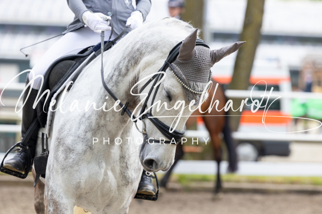 7I8A9885 | melanie-engelhardt-photography - Realisiert mit Pictrs.com