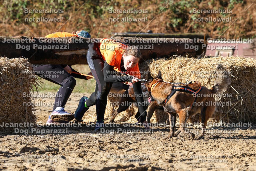 Dog Paparazzi - Strongdog 10-25-2024 | Dog Paparazzi Jeanette Grottendiek Fotografie & Videografie - Realisiert mit Pictrs.com