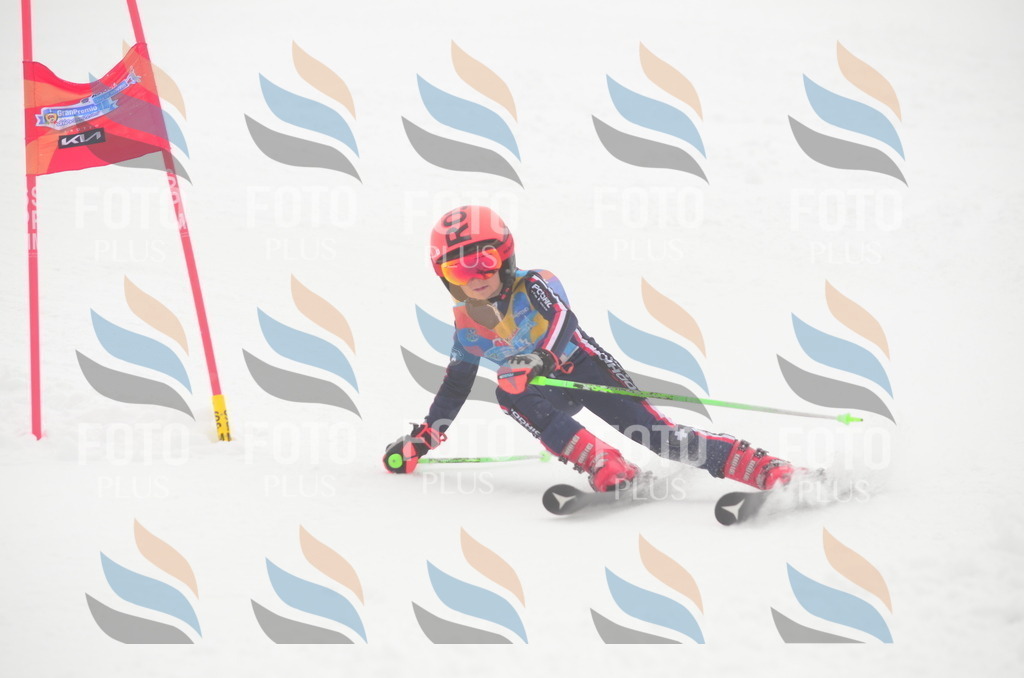 C1465 | holidayphoto