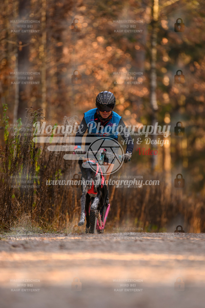 MompixPhotography_DM_AKDM_SO_2025_Scooter-139 | PayLife