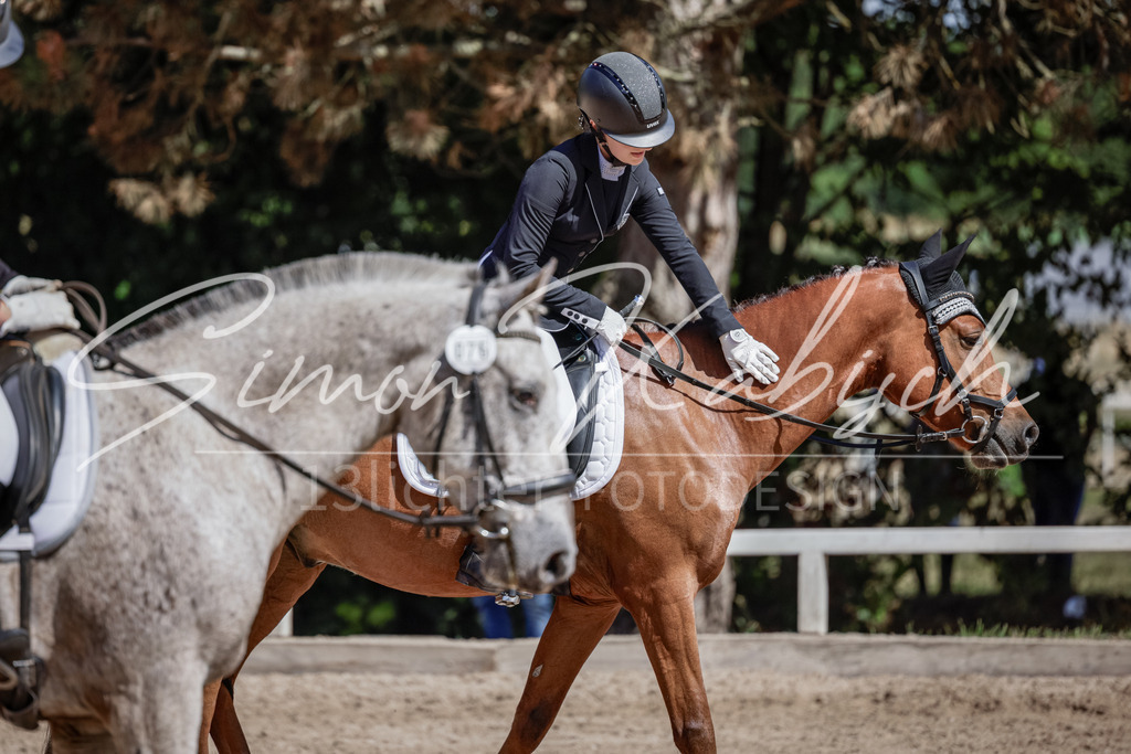 20250906-_3LI5253 | Tierfotografie Pferde, Hunde, Katzen, Haustiere.
Turnierfotografie Reitturniere, Reiten, Springreiten, Dressur in Hanau, dem Main-Kinzig-Kreis und dem Rhein-Main- Gebiet um Frankfurt