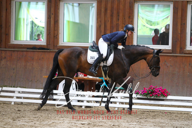 DKP43453 | Turniersportfotografie; Pferdefotografie; Dressurfotografie