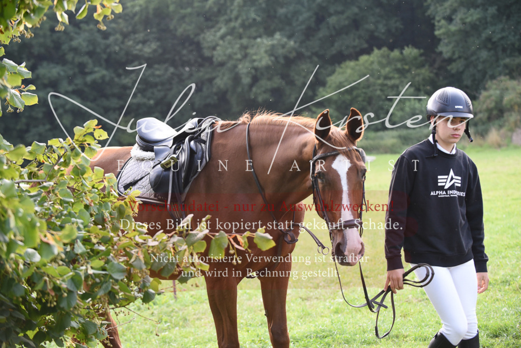 DSC_8582 | Pferde- und Turnierfotografie in Westsachsen. Pferdeportraits, Auftragszeichnungen und intuitive Kunst.