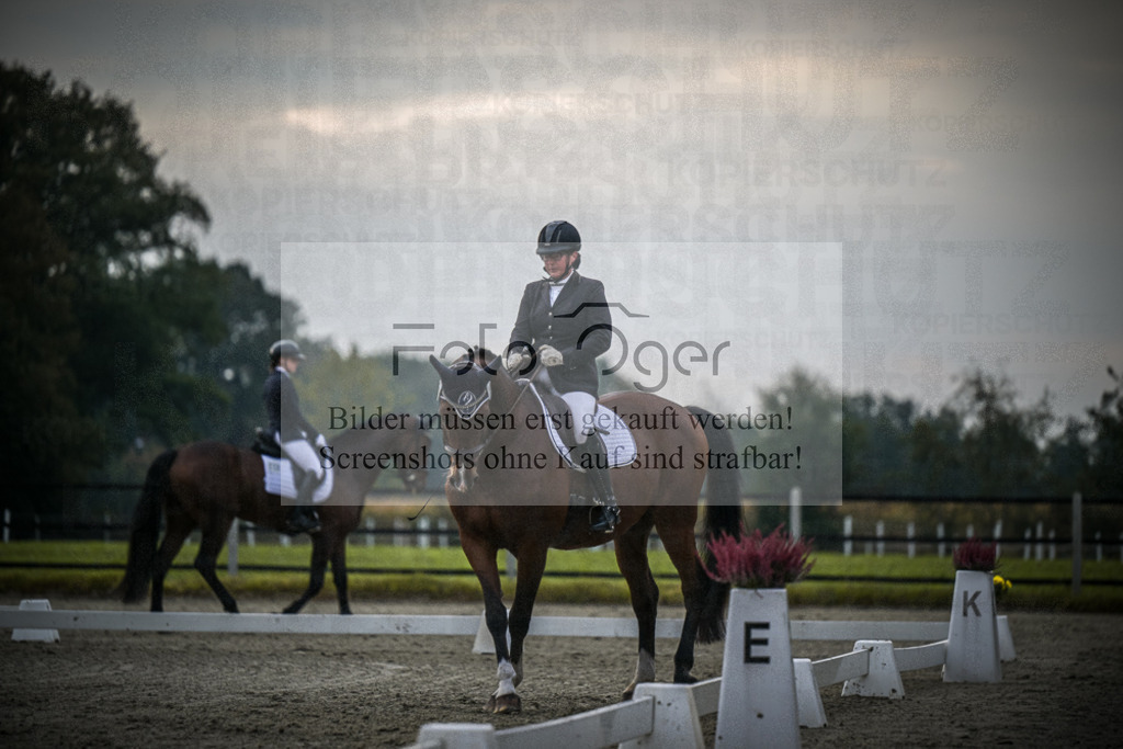 DOS_1244 | Entdecke hochwertige Reitturnierfotos von Foto Oger. Professionell, emotional und authentisch – jetzt Lieblingsmomente im Shop bestellen.Deutschlandweite Turnierfotografie. - Realisiert mit Pictrs.com