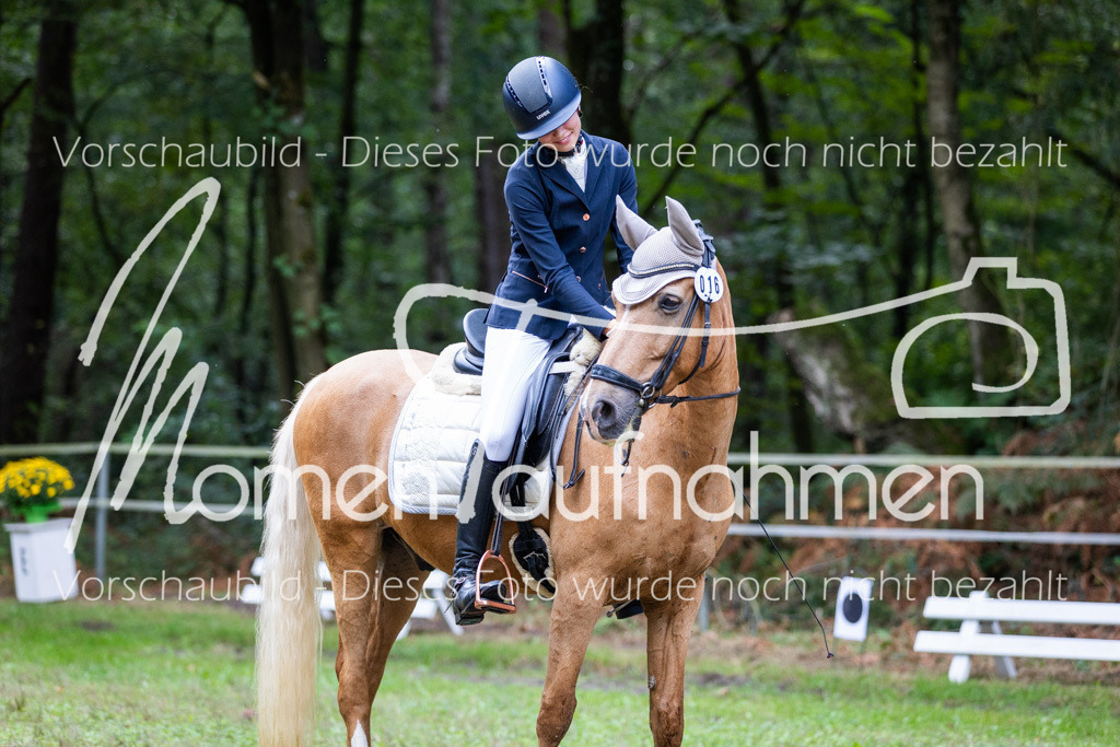 HB-A-Dressur-037 | MomenTaufnahmen Pferdesportfotos