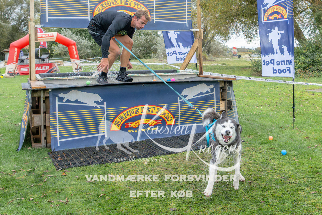 1112_ZZ95779 | kk-dogfotos