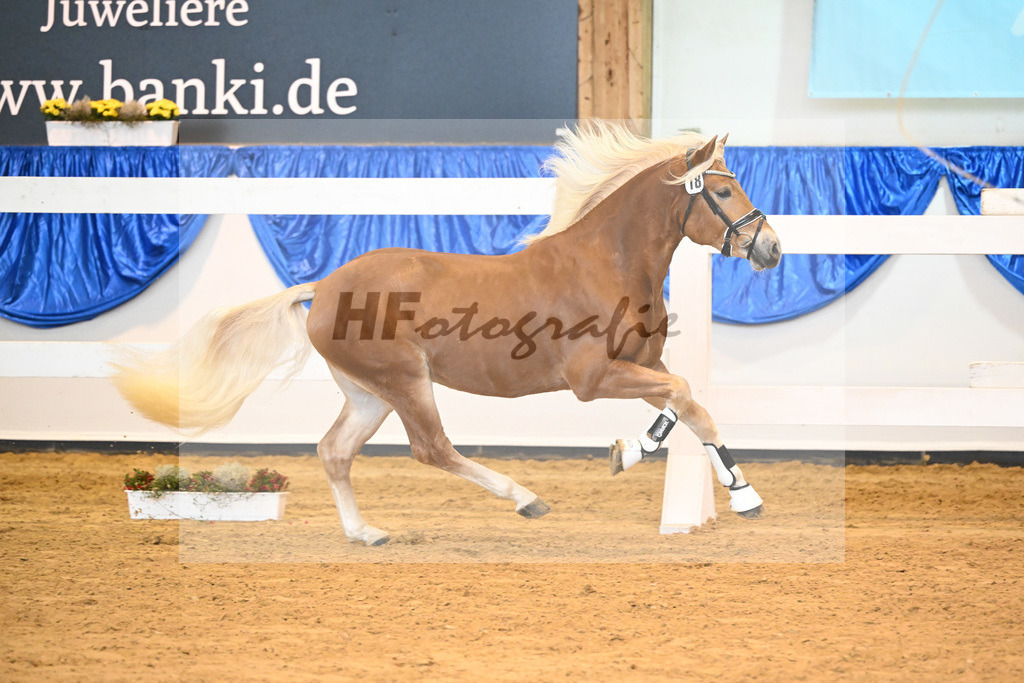 Kat-Nr. 18 Alois v. Amari_Reisberger_60220292 | hf-fotografie - Realisiert mit Pictrs.com