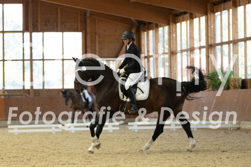 IMG_9339 | Creatify Fotografie