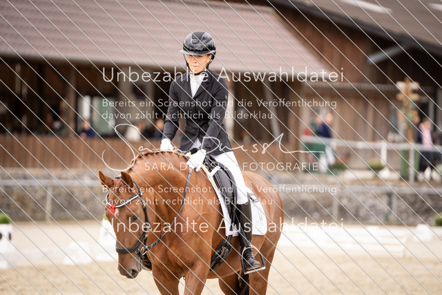SD_OED_04255 | saradresslerfotografie - Realisiert mit Pictrs.com