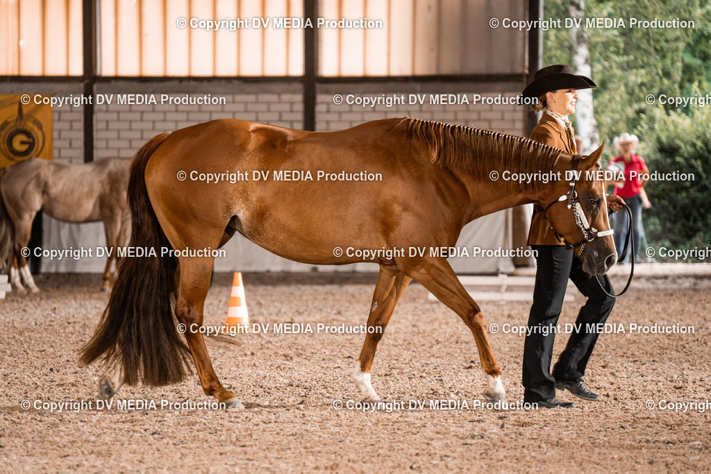 ZH200280 | dv-media-shop - Realisiert mit Pictrs.com