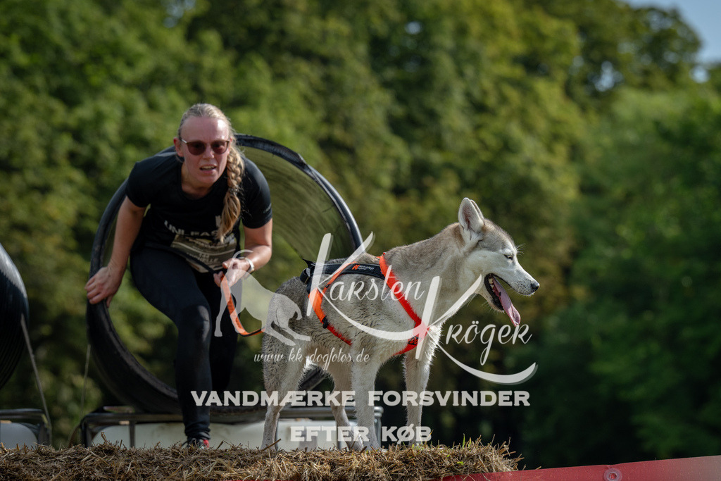 0935_ZZ90768 | kk-dogfotos