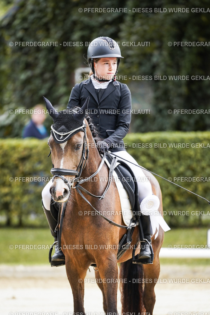 DSC04990 | Pferdegrafie