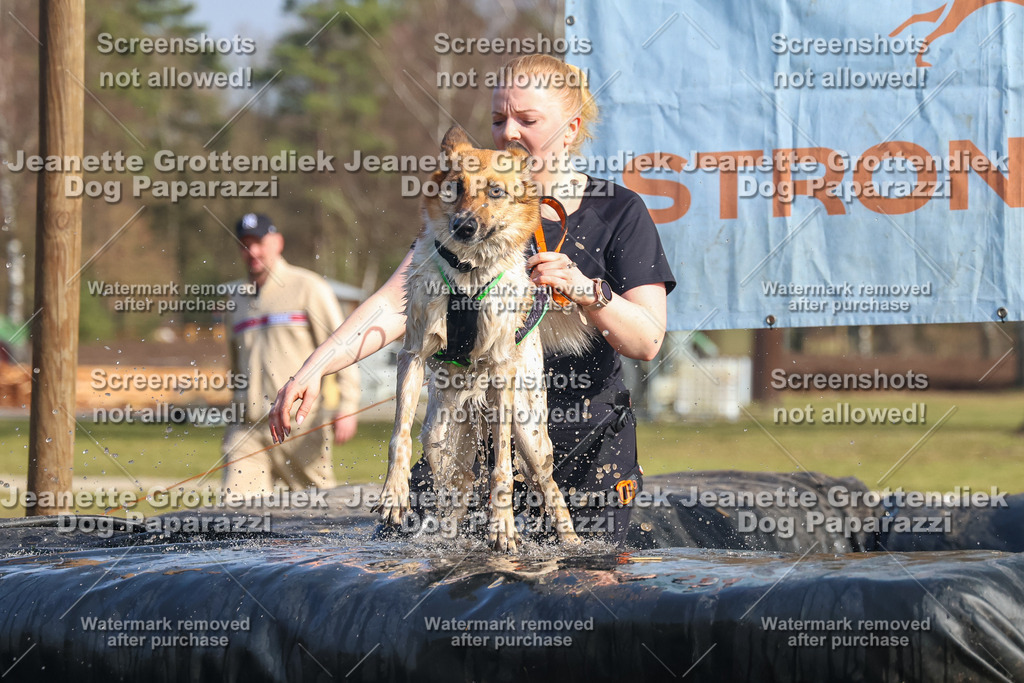 Dog Paparazzi - Strongdog North Mrz26-2583 | Dog Paparazzi Jeanette Grottendiek Fotografie & Videografie - Realisiert mit Pictrs.com