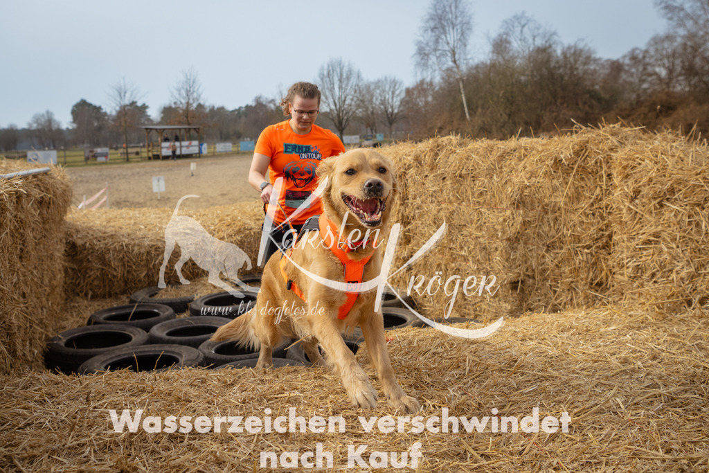 1101_ZZ91650 | kk-dogfotos