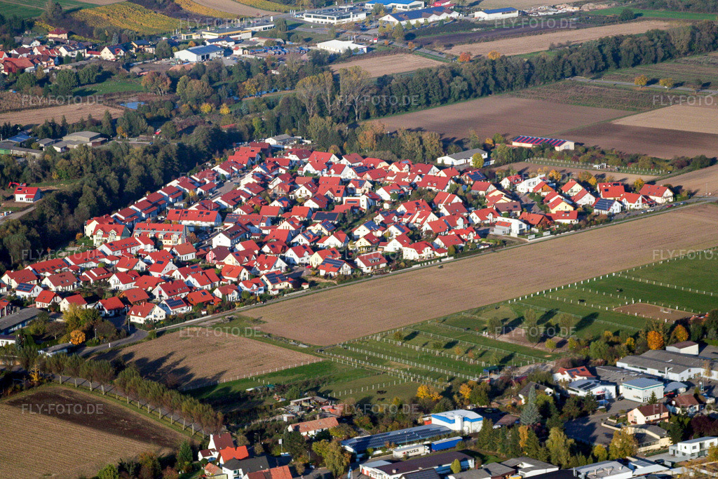 Luftbild: Herxheim Ost in Herxheim bei Landau im Bundesland Rheinland-Pfalz in Deutschland. Foto: IMG_14403.jpg vom 25.10.2008 durch Werner Riehm/FLY-FOTO.de