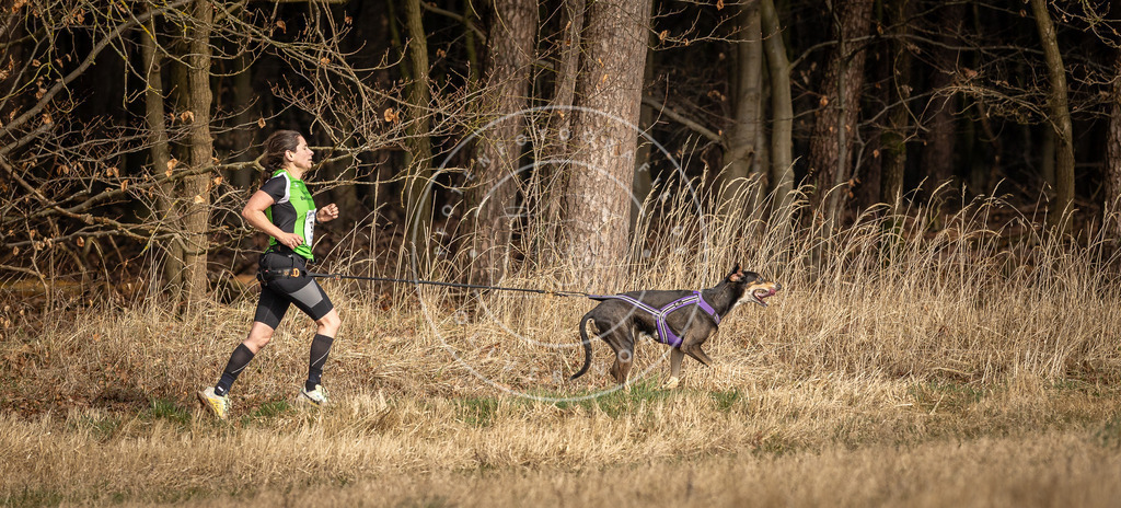 DV3A3903 | Hundefotografie, Tierfotograf, Pfotenfotografie, Fotoshooting Hund, Hunde Portrait, Hundesport, Hundeportraits, Heideshooting, Hunde, Sportfotograf, Hundefotograf, Turnierhundsport, THS,  - Realisiert mit Pictrs.com