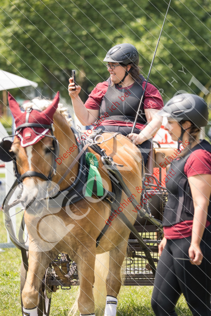 IMG_9223 | Sport-, Event- und Tierfotos in Profiqualität. Einfach auswählen, bestellen und herunterladen. Dein Moment – perfekt festgehalten.
