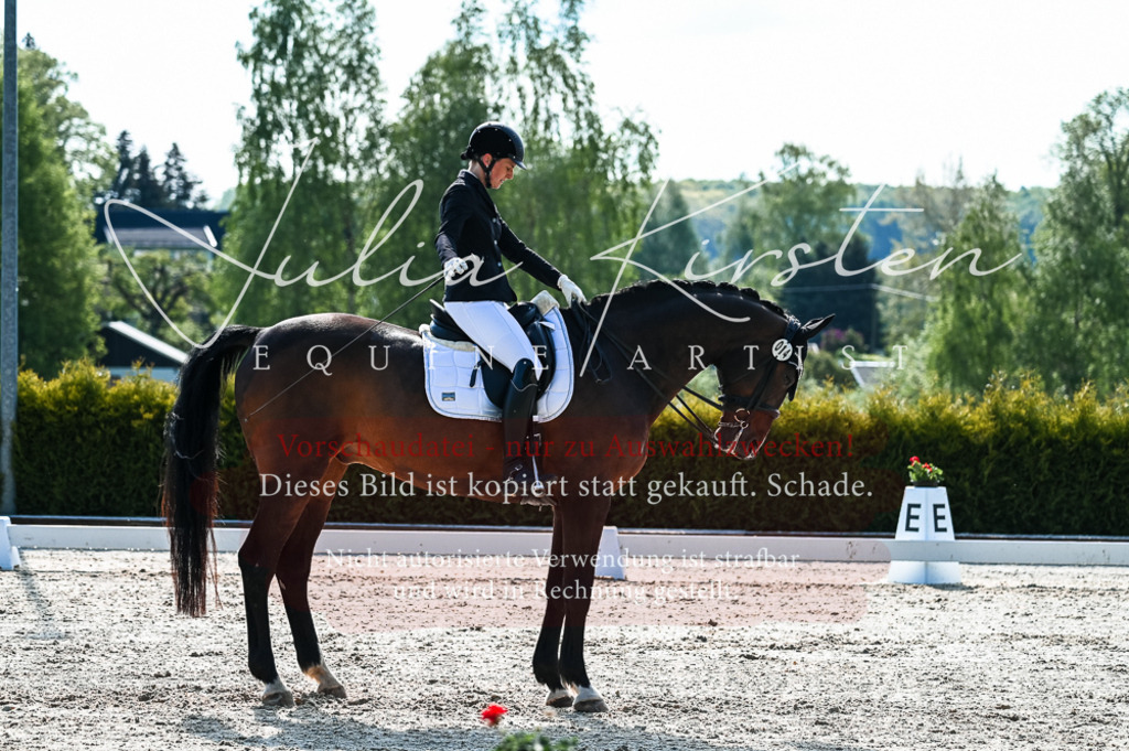 20230513_JK-Röhrsdorf-10-0163 | Pferde- und Turnierfotografie in Westsachsen. Pferdeportraits, Auftragszeichnungen und intuitive Kunst.