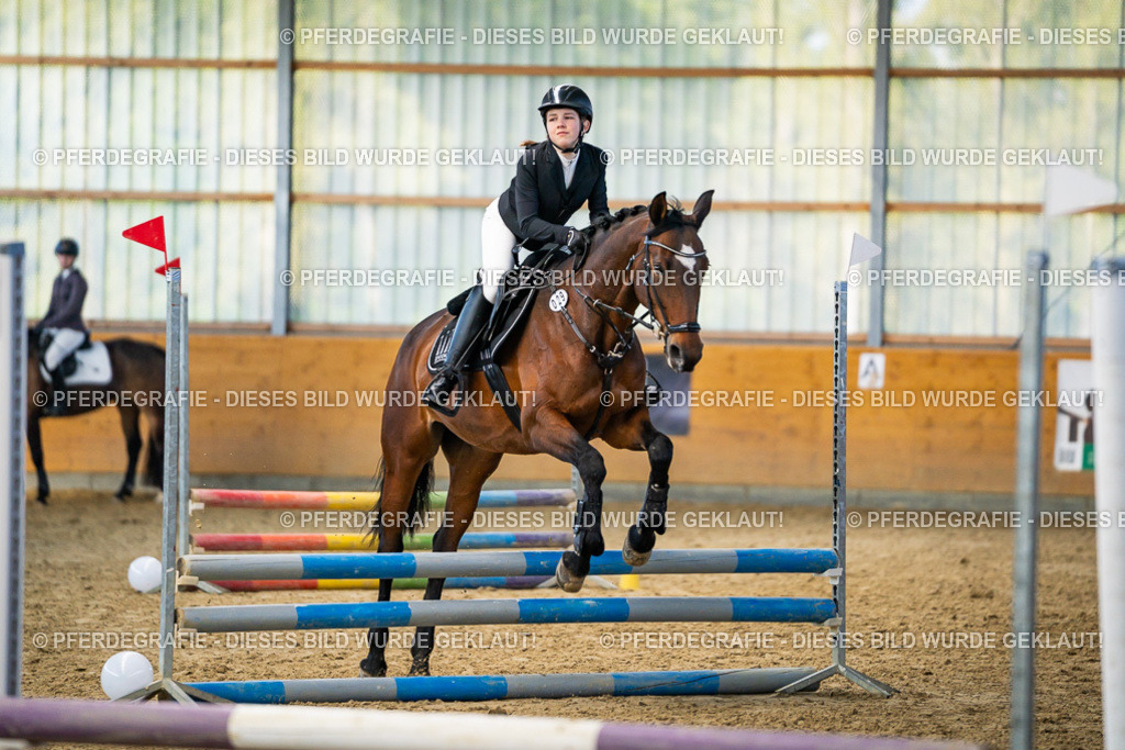 DSC01138 | Pferdegrafie