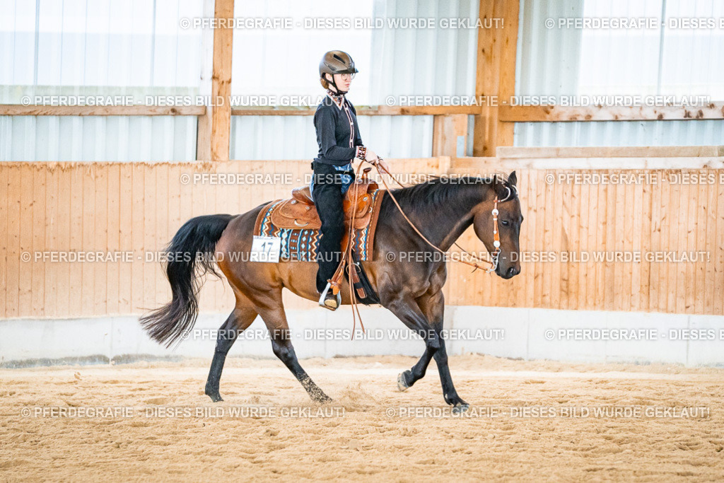 DSC02640 | Pferdegrafie