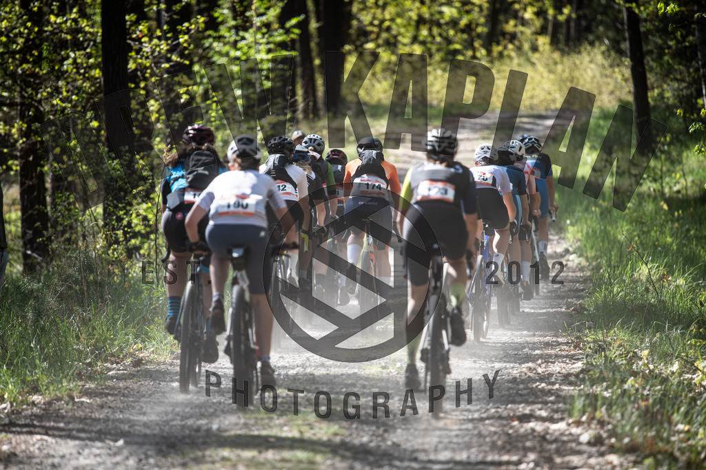 DKP-1911 | Drew Kaplan Photography