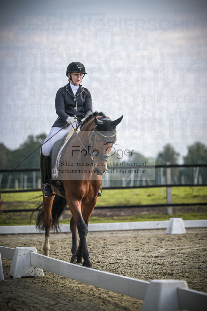 DOS_B004 | Entdecke hochwertige Reitturnierfotos von Foto Oger. Professionell, emotional und authentisch – jetzt Lieblingsmomente im Shop bestellen.Deutschlandweite Turnierfotografie. - Realisiert mit Pictrs.com