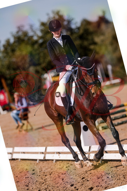 2026_10_03_Siefer-Hof_125801_Z81_47566897 | Professionelle Reitsport-, Turnier- und Eventfotografie von Robert Broda. Galerien mit ausgewählten und bearbeiteten Bildern direkt online ansehen und bestellen.