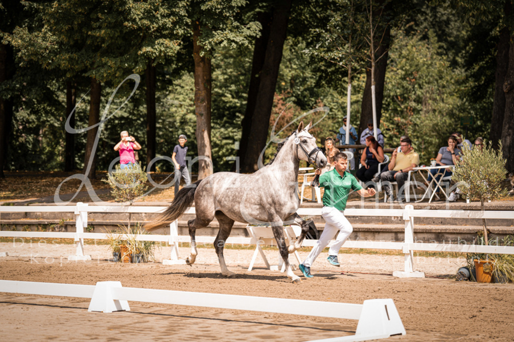 1.Fr00059 | Leoni Ertmer Photography - Realisiert mit Pictrs.com