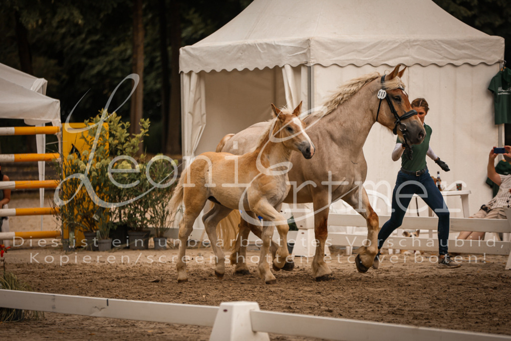 SaHF00062 | Leoni Ertmer Photography - Realisiert mit Pictrs.com