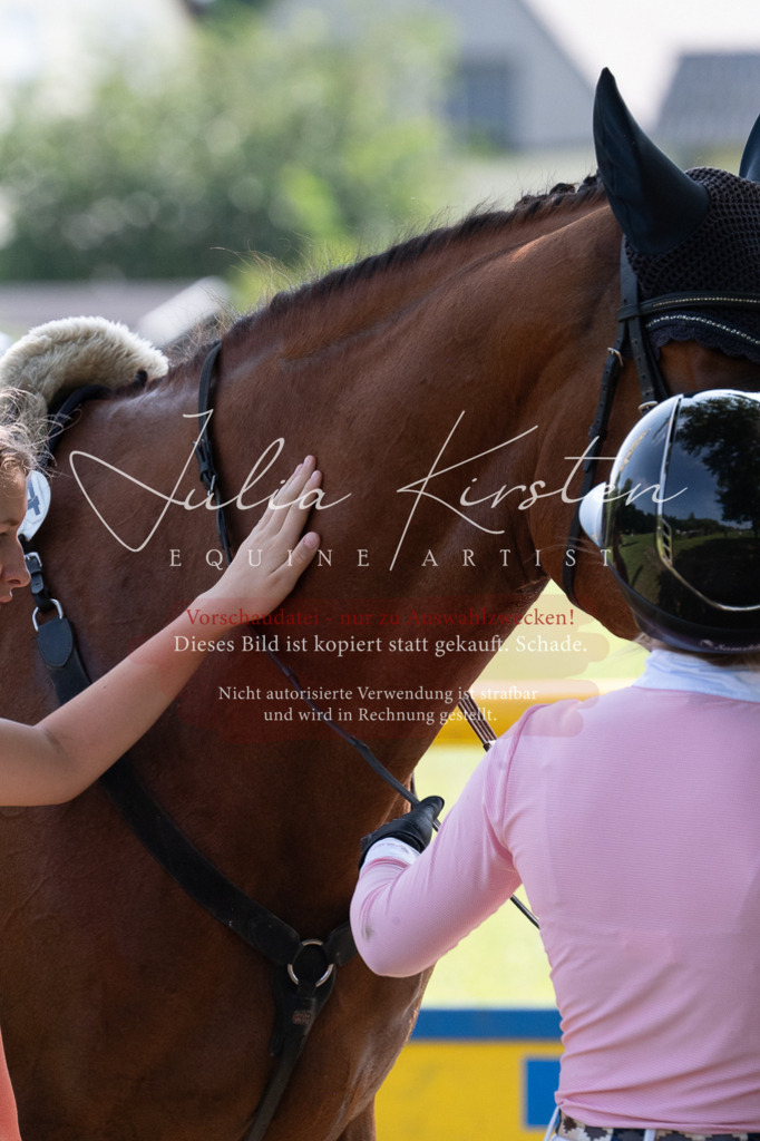 DSC_0743 | Pferde- und Turnierfotografie in Westsachsen. Pferdeportraits, Auftragszeichnungen und intuitive Kunst.