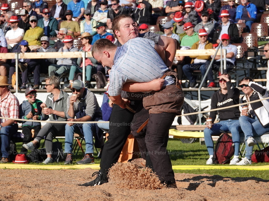 DSC07346 | Schwingen - Realisiert mit Pictrs.com