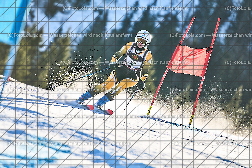 ALP1406_FIS-MastersCup_Reiteralm_Giant-SL_Franke-Williams Marg | FIS-MastersCup GIANT-SLALOM auf der Reiteralm in Pichl, Sa 18. Jänner 2025.