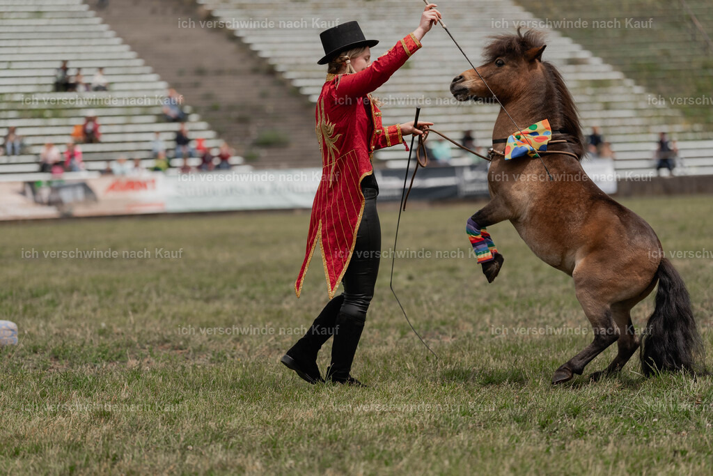 Showprogramm-224 | working equitationturnier fotograf videograf stoibphotography marixx film working equitation deutschland reitsport turnierfotografie eventfotografie equestrian events